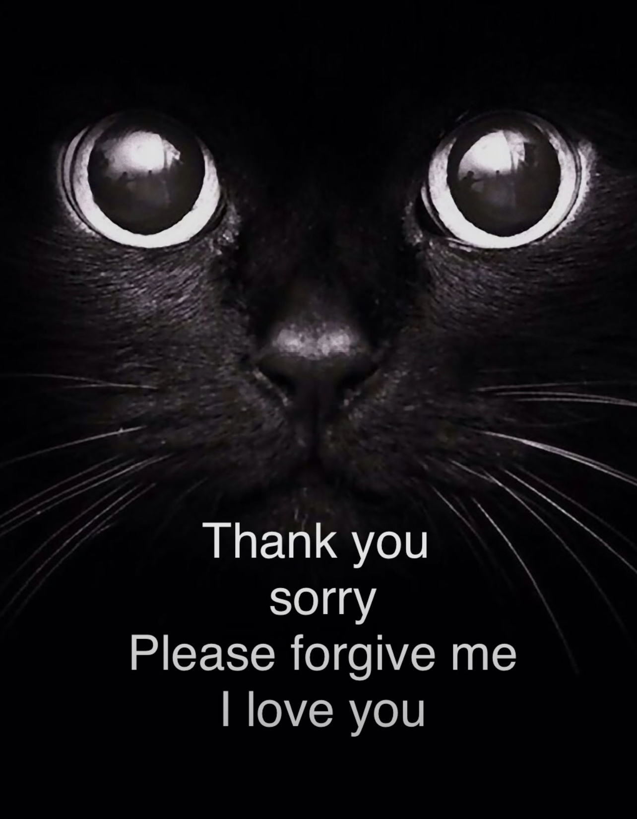 A810706B-DEE5-4376-94F6-FF05E8E3922F