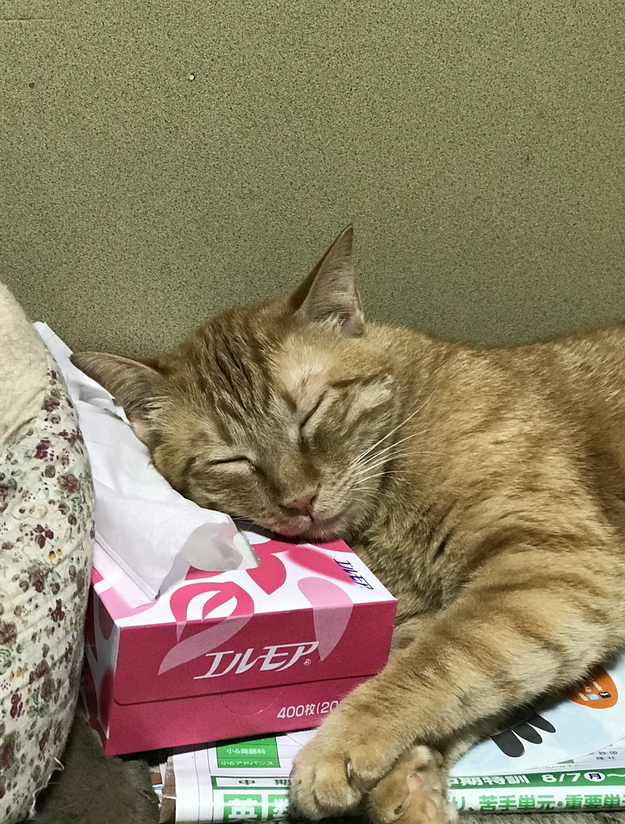 ABF6EF1B-0660-4AF2-AA5C-FFDC6EB174C1