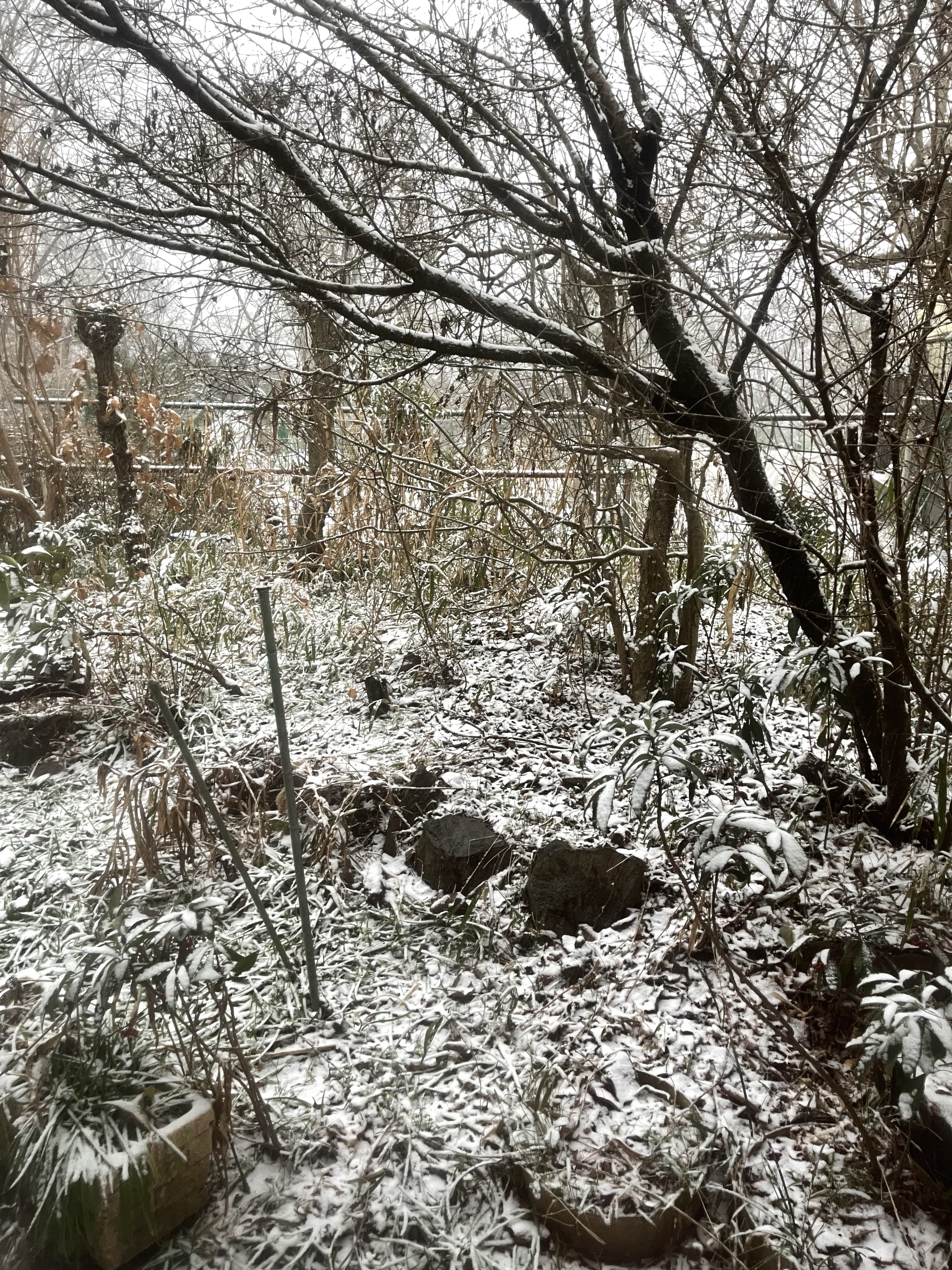 CBB97B27-4CA3-4205-8A96-77BD07F23AD8