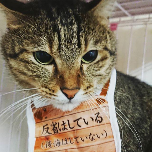 D33852B0-7110-4C1F-A089-614711369695