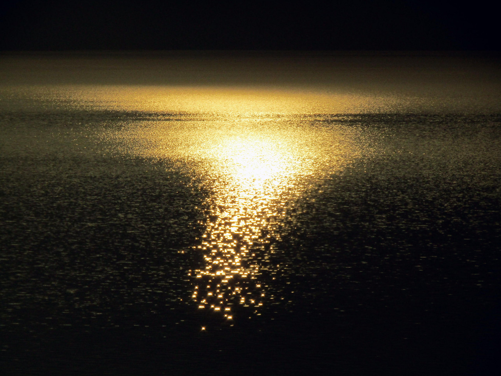 0C3640F0-1D0D-4454-9B65-8C8CFE4E19A8