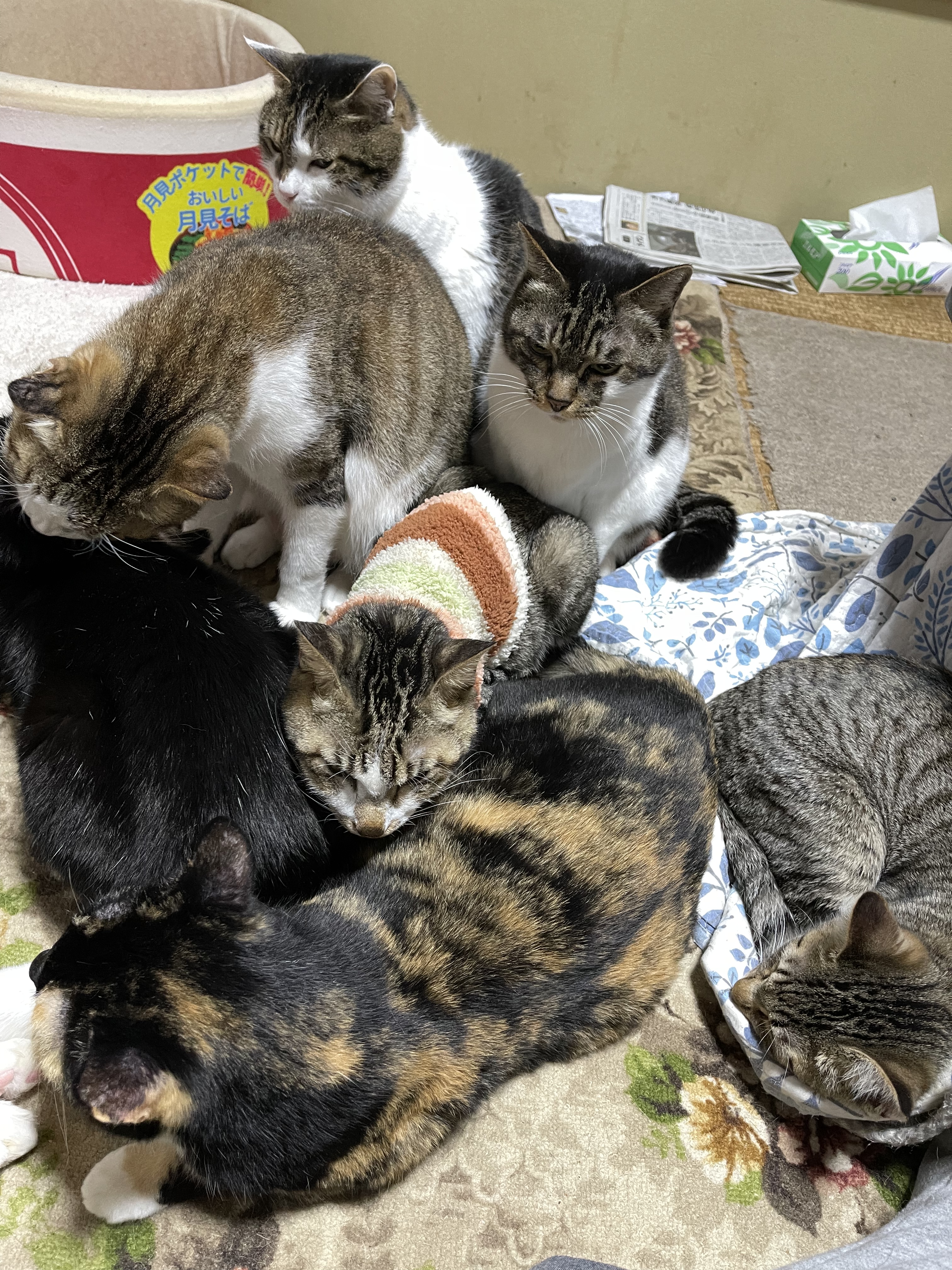 2CF14E47-3C1E-4624-BA60-017E452C5C10