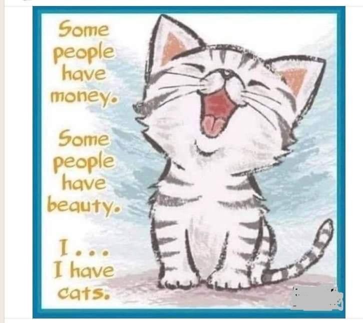 6AD5CB80-3B79-47BF-913C-4BEACE524B50