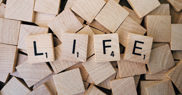 97A31C59-DF24-4C38-95CC-A255B29C5AA0