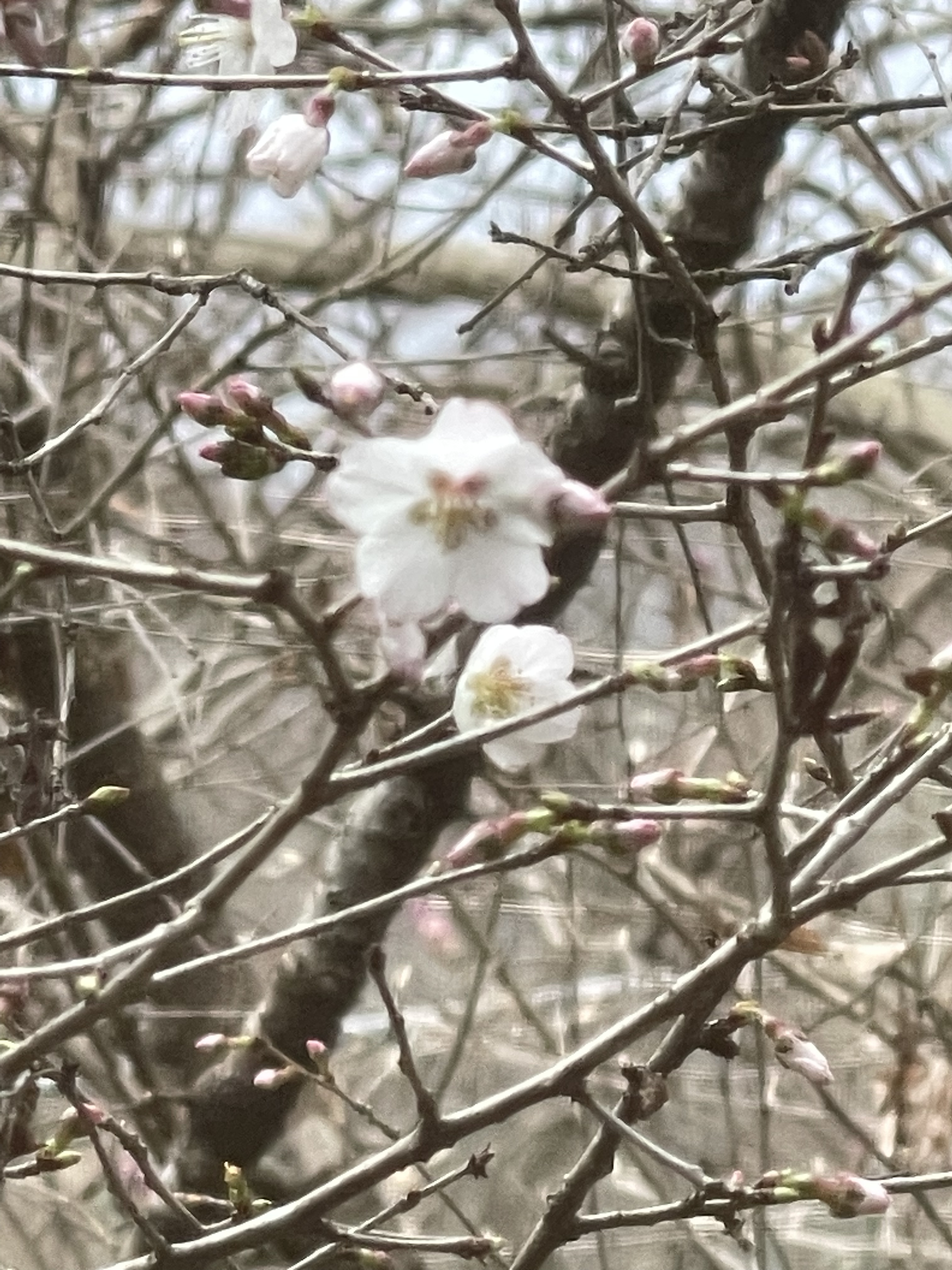 AF461845-C075-492D-928F-3C9EC1B05BFC