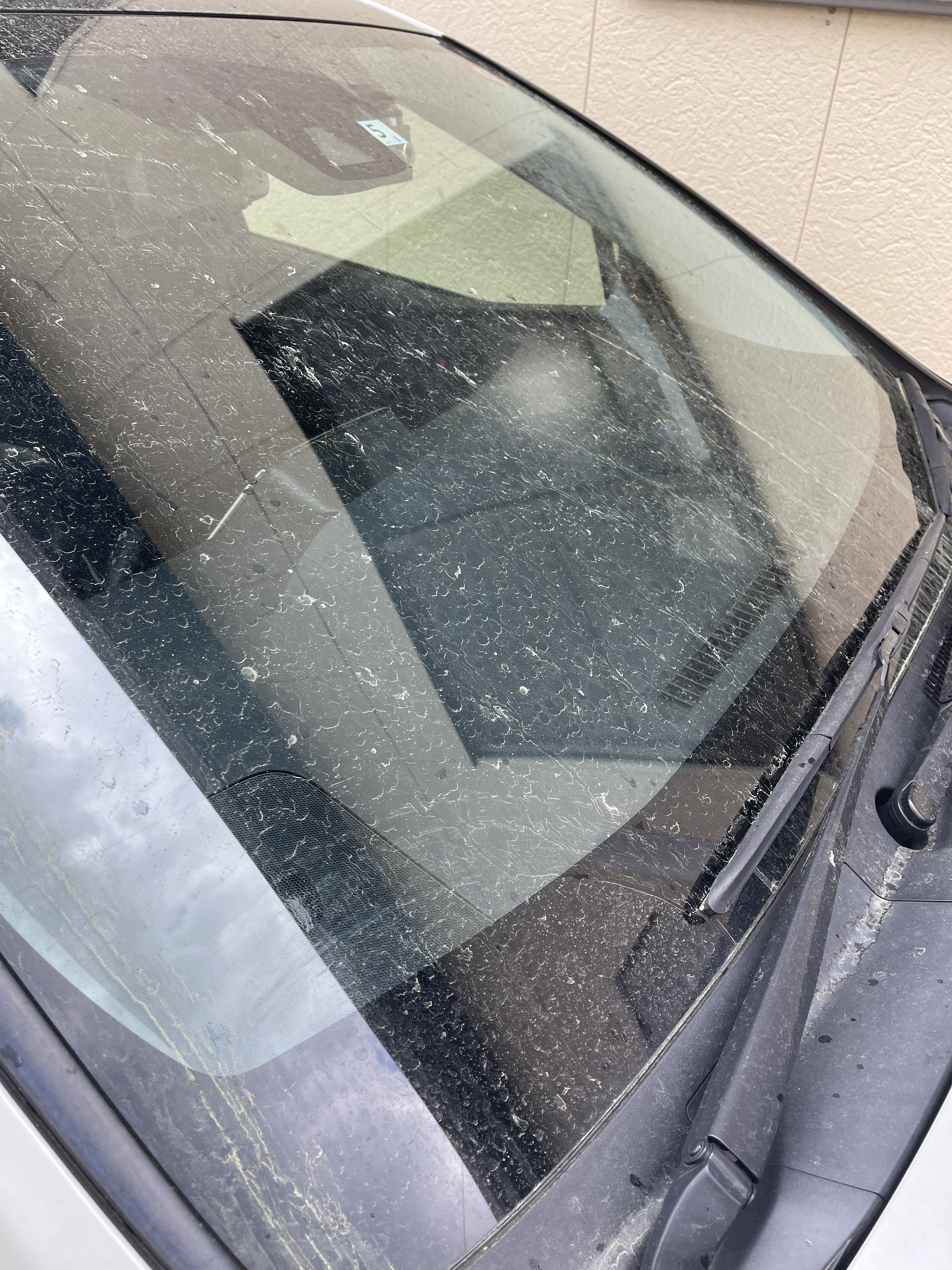 CB1F341D-7338-4E35-9E27-B04330CE76AB