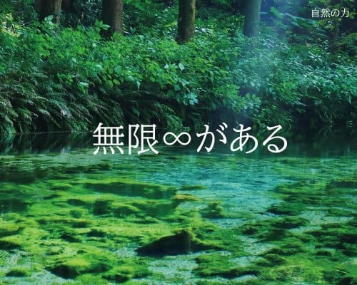 E84B4824-A164-450C-BA5A-03889679EFD3