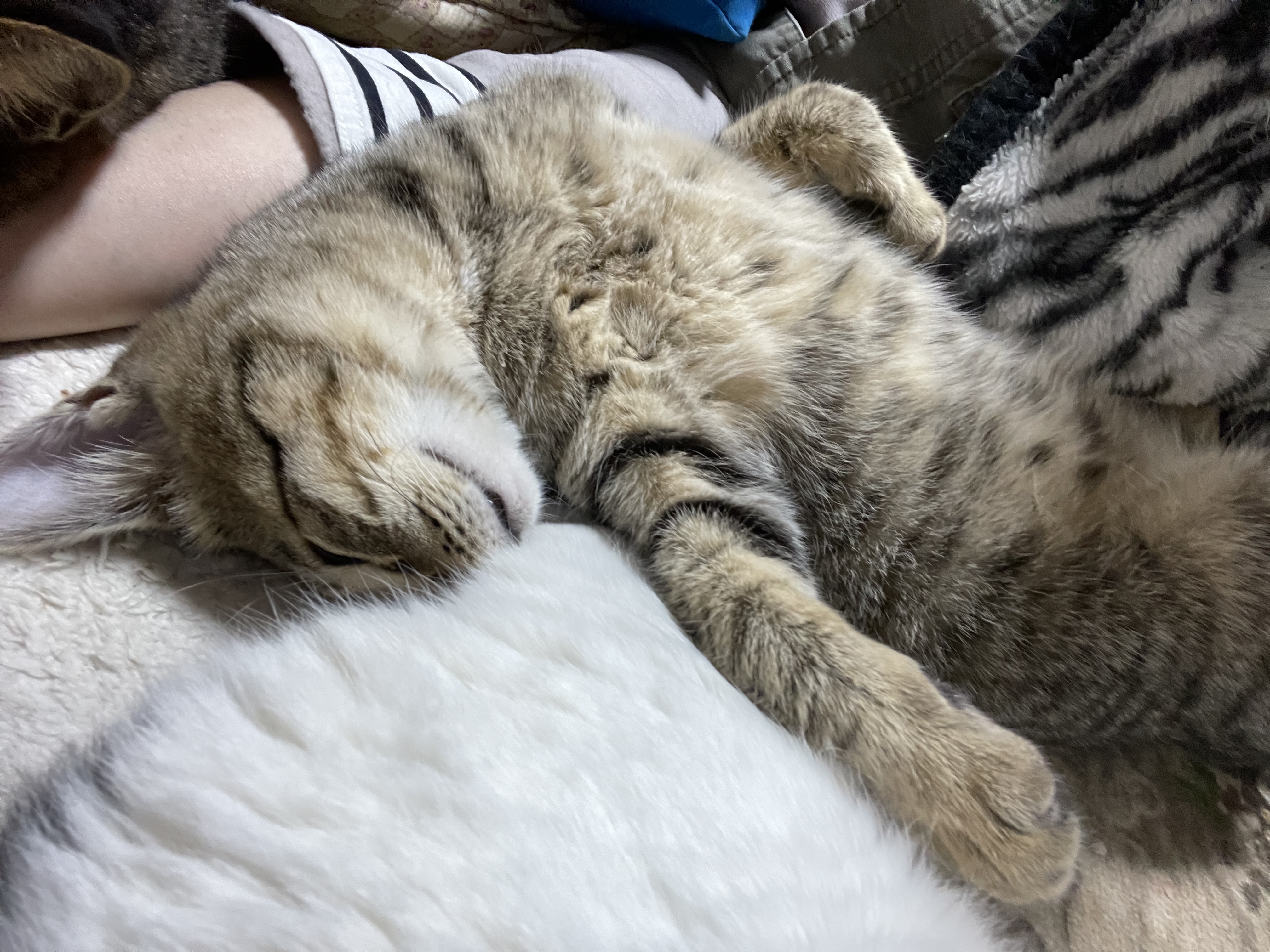 EDC75AC7-6C74-488A-A16D-35015F934CC5