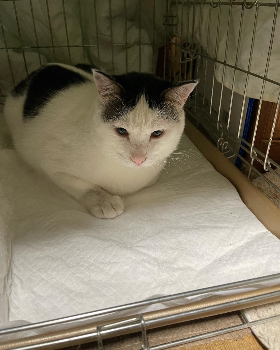 2E84173B-5F8D-4A31-80AC-017162793075