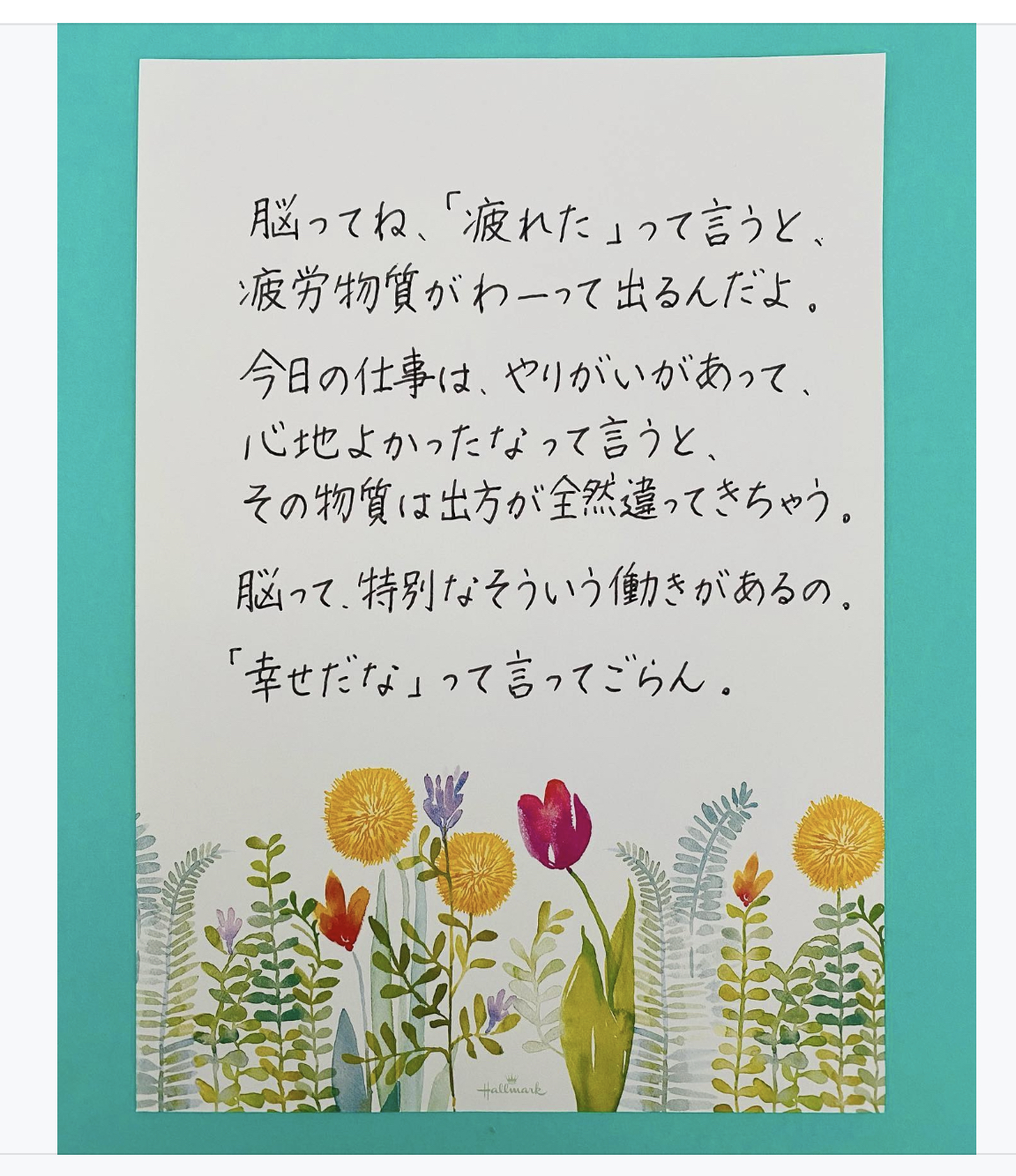 5694466B-1AB5-41B7-AC4D-4BE8B0F95303