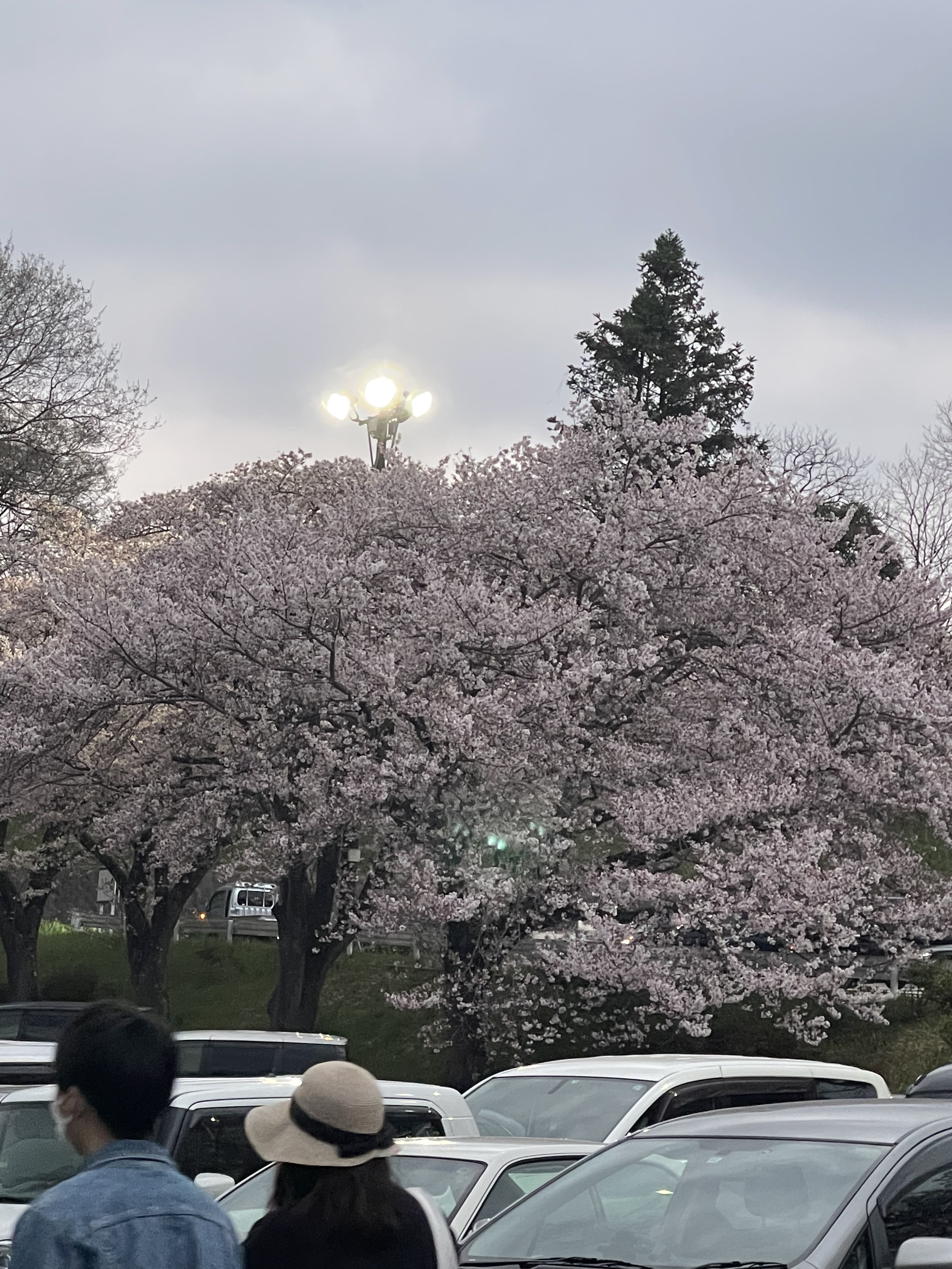 EE064285-8AA2-48DD-AD2E-A9BAF74360F8